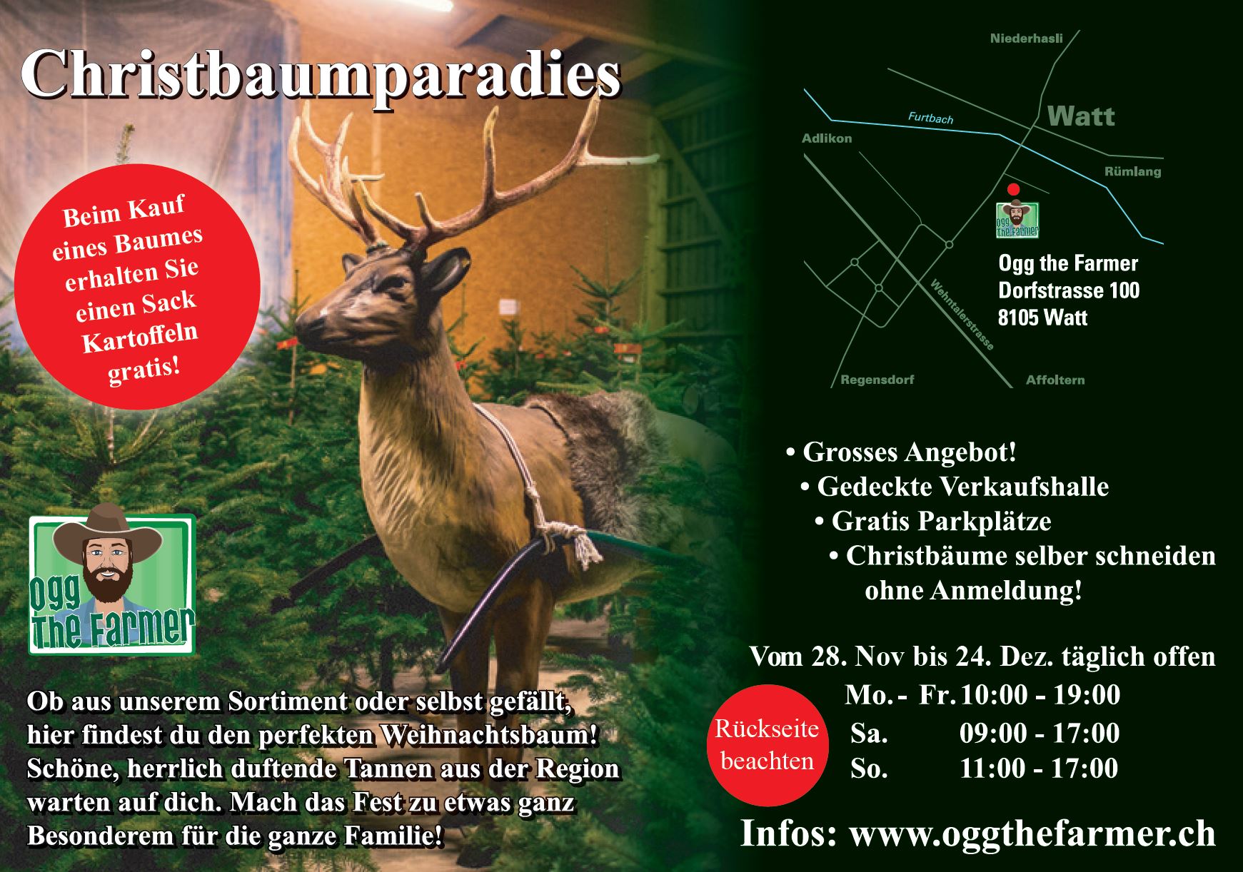 Flyer Christbaumparadies