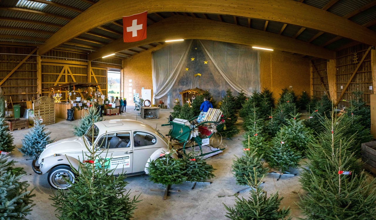 Halle verkauf sapins