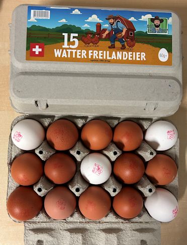 Watter Freilandeier 60gr+ 15 Stk