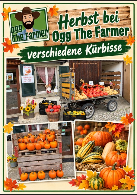 Kürbis