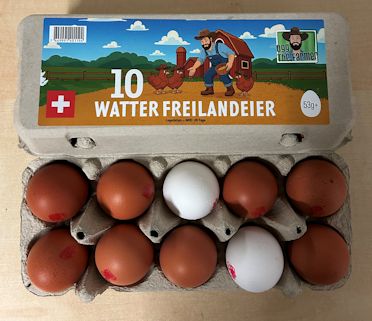 Watter Freilandeier 53gr+ 10 Stk