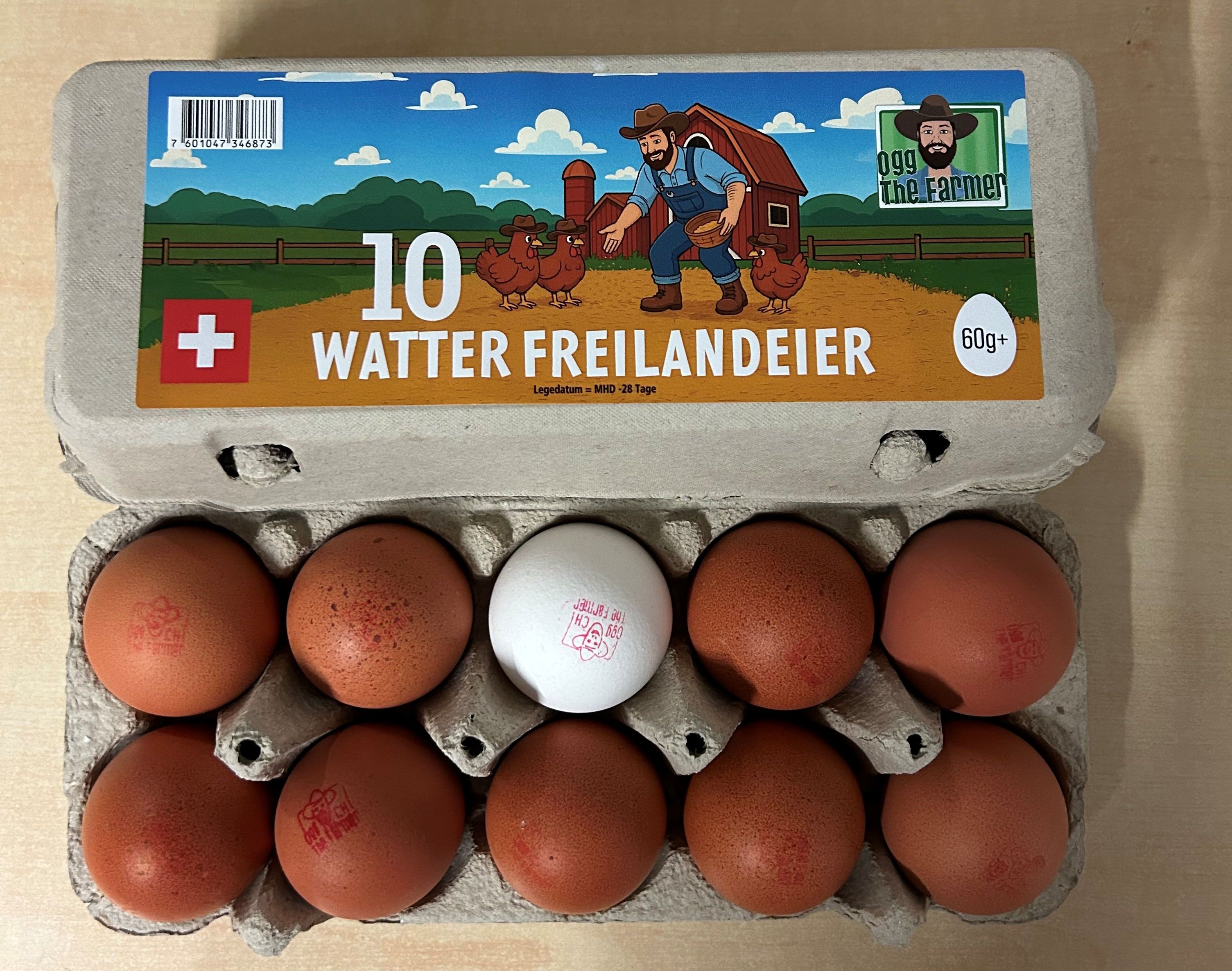 Watter Freilandeier 60gr+ 10 Stk
