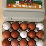 Watter Freilandeier 60gr+ 15 Stk