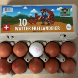 Watter Freilandeier 60gr+ 10 Stk