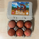 Watter Freilandeier 60gr+ 6 Stk