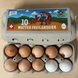 Watter Freilandeier 65gr+ 10 Stk